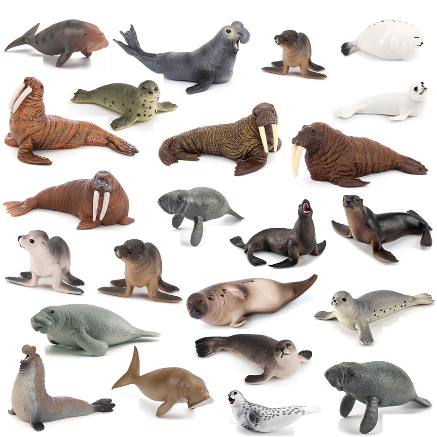 Kids Education Fun - Realistische Dugong Manatee Walrus Zeeleeuw Zeehond