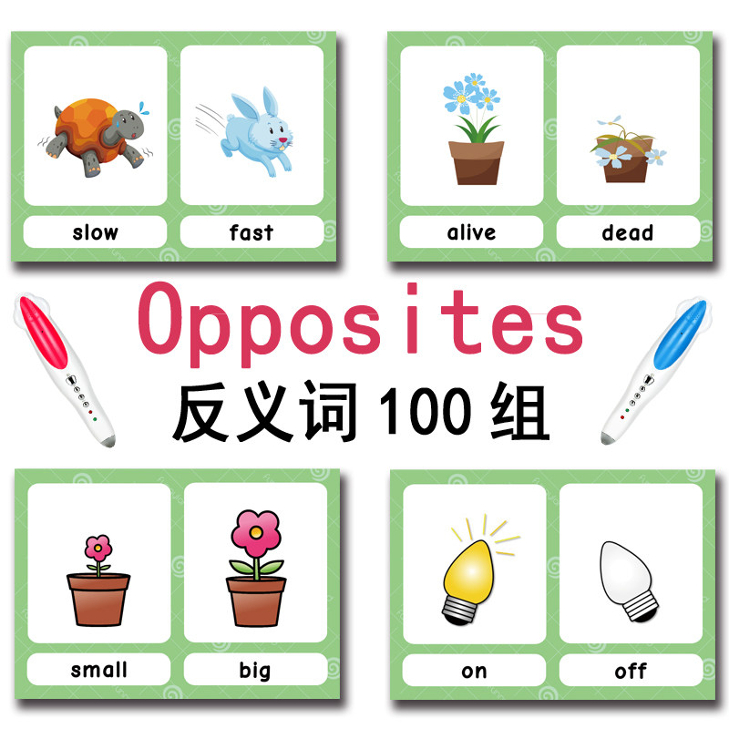 De 100 Groepen Tegenstellingen - Kids Educational Resources recensie en prijs