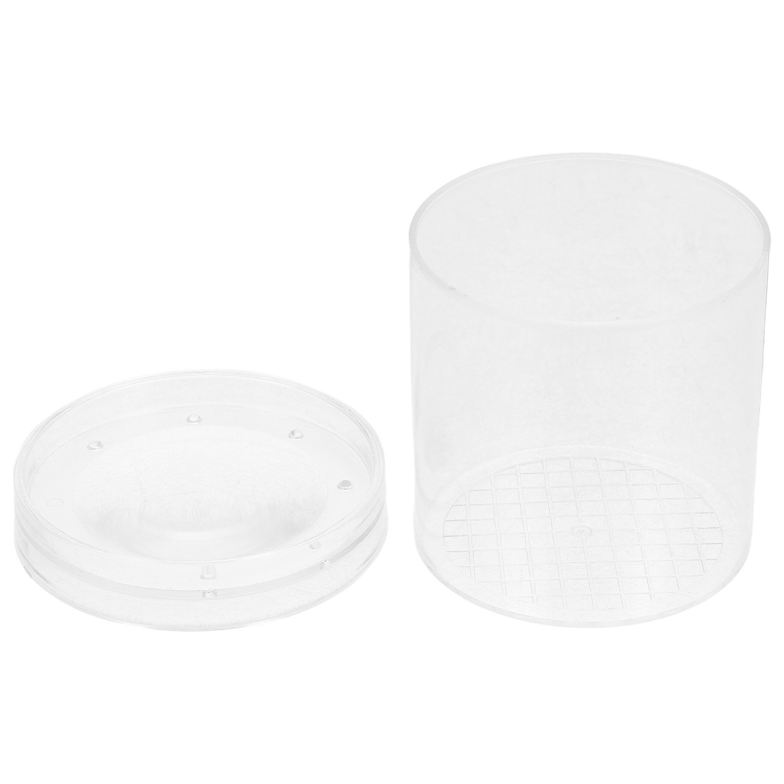 3X vergrotende insectenobserva - Kids Outdoor Education recensie en prijs