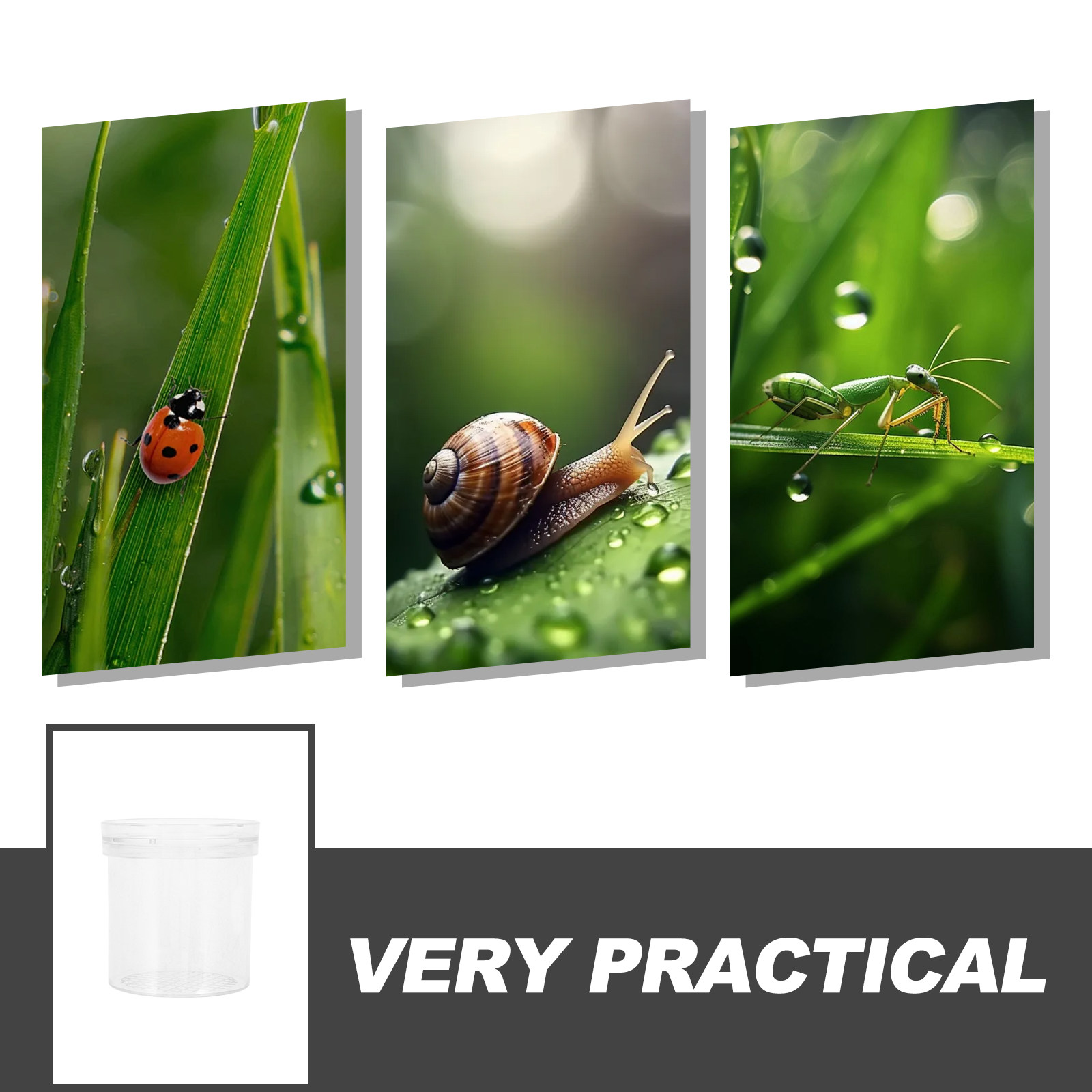 3X vergrotende insectenobserva - Kids Outdoor Education recensie en prijs
