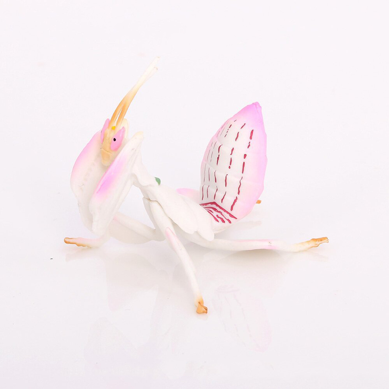 Realistisch dierenspeelgoedmod - Orchid Kids Education recensie en prijs