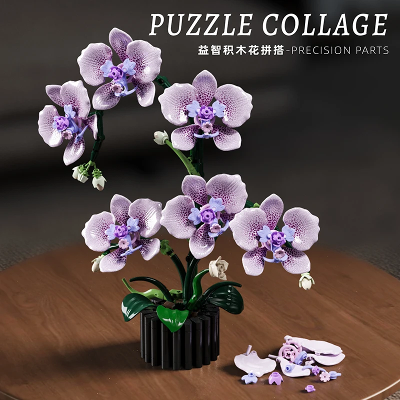 Orchidee potplanten simulatiem - Orchid Kids Education recensie en prijs