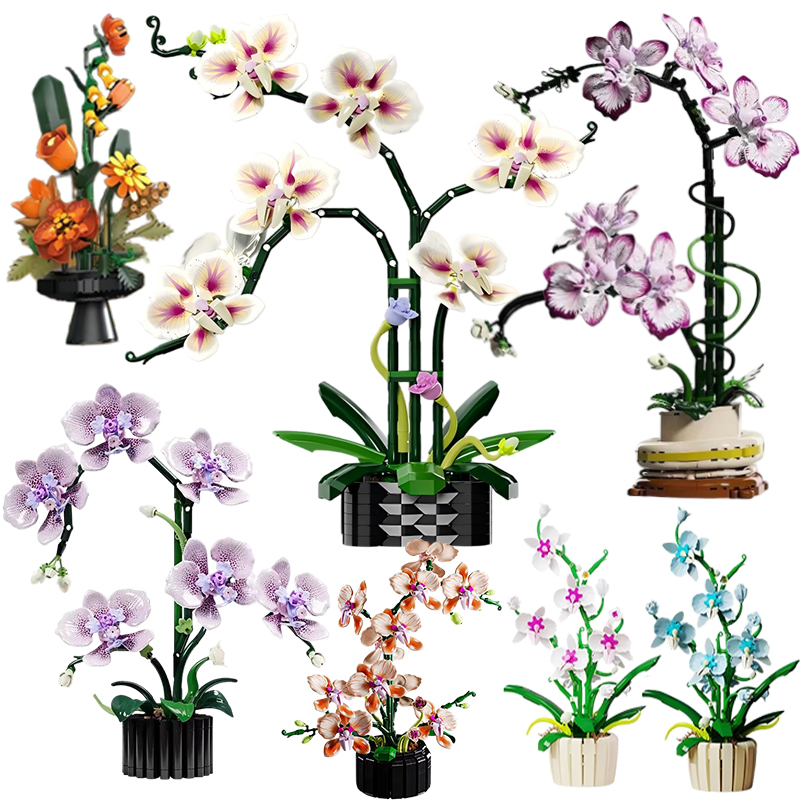Orchidee potplanten simulatiem - Orchid Kids Education recensie en prijs