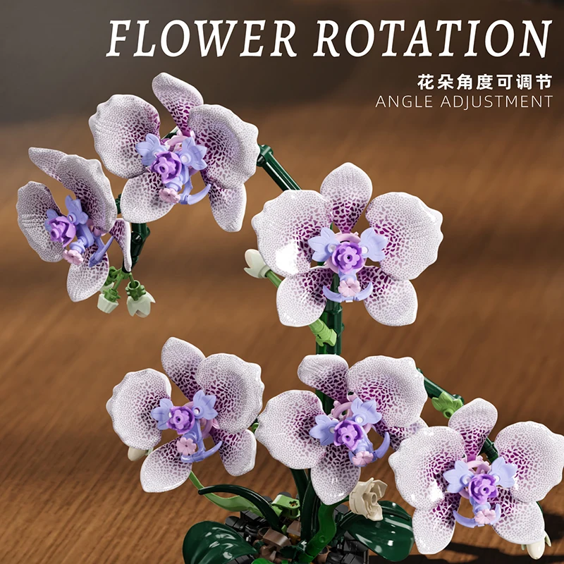Orchidee potplanten simulatiem - Orchid Kids Education recensie en prijs