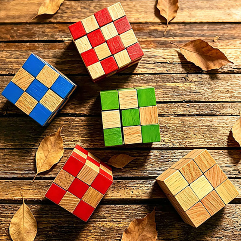 Vierkante Slangenkubus Houten  - Kids Education Fun recensie en prijs